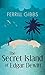 The Secret Island of Edgar Dewitt by Ferrill Gibbs