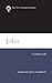 John: A Commentary