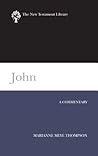 John: A Commentary