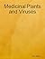 Medicinal Plants and Viruses