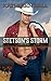 Stetson's Storm by Kathleen Ball