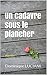 Un cadavre sous le plancher