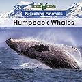 Humpback Whales (3)