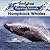 Humpback Whales (3)