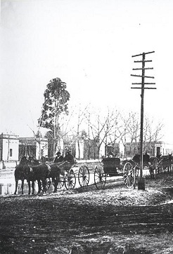 El tío Tomás (ebook)