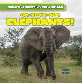 80-Year-Old Elephants! (World's Longest-Living Animals)