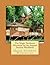 The Magic Treehouse Afternoon on the Amazon Student Workbook by John Pennington