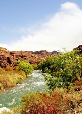 Conquistadores (ebook)