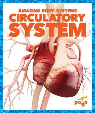 Circulatory System (Pogo Books: Amazing Body Systems)