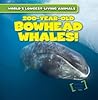 200-Year-Old Bowhead Whales! by Leonard Atlantic 200-Year-Old Bowhead Whales! by Leonard Atlantic
