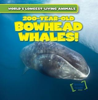 200-Year-Old Bowhead Whales! (World's Longest-Living Animals)