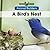 A Bird's Nest (Bookworms: Animal Builders)