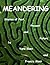 Meandering - Stories of Past, Present and Future