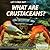 What Are Crustaceans? (Let's Find Out!)