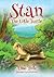 Stan, The Little Turtle