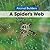 A Spider's Web (Animal Builders)