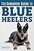 The Complete Guide to Blue Heelers