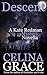 Descent (Kate Redman Myster...