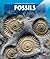 Fossils (Spotlight on Earth Science)