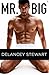 Mr. Big