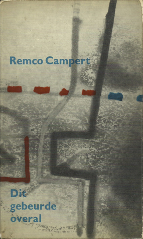 Dit gebeurde overal (Paperback)