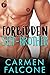 Forbidden Stepbrother by Carmen Falcone