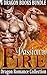 Passion on Fire: Dragon Romance Collection