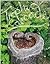 Trophic Cascade (Wesleyan P...