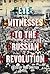 Eyewitnesses to the Russian Revolution by Todd Chretien