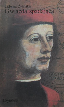 Gwiazda spadająca (Paperback)