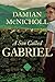 A Son Called Gabriel