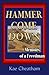 Hammer Come Down