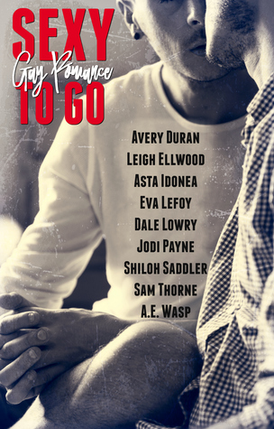 Sexy to Go: Gay Romance
