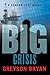 Crisis (Big #2)