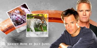 The Journey Home (ebook)