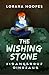 Dangerous Dinosaur (The Wishing Stone #1)