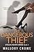 The Dangerous Thief (Stolen...