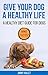 Give Your Dog a Healthy Life: A Healthy Diet Guide for Dogs
