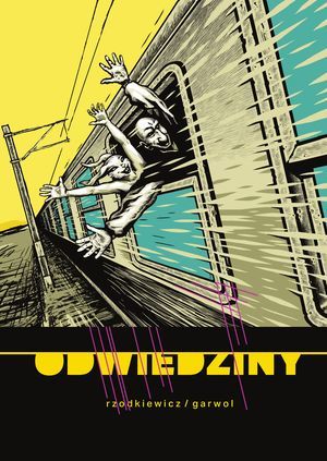 Odwiedziny (Hardcover)