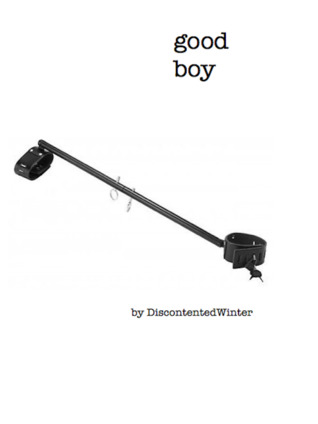 Good Boy (ebook)