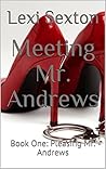 Meeting Mr. Andrews: Book One: Pleasing Mr. Andrews