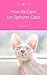 How to Care for Sphynx Cats by Suzy Lin