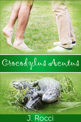 Crocodylus Acutus