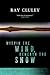 Within the Wind, Beneath the Snow (Snowbooks Horror Novellas Book 1)