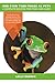 Red Eyed Tree Frogs as Pets: Red Eyed Tree Frog breeding, where to buy, types, care, temperament, cost, health, handling, diet, and much more included! A Complete Red Eyed Tree Frog Care Guide