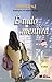 É Tudo Mentira by Fernando Vaz