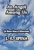 An Angel Among Us by J.E. Spina