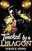 Touched By A Dragon (Exiled Dragons, #5)
