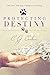 Protecting Destiny (The Des...