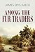 Among the Fur Traders